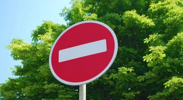Новости Севастополя - Пришлось вырубить порядка 200 деревьев на улице Льва Толстого, – дептранс Севастополя
