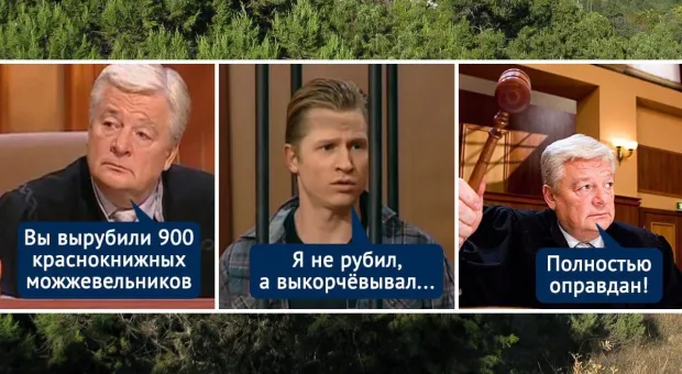 Новости Севастополя - Крым и Севастополь прожили полдня без мобильной связи