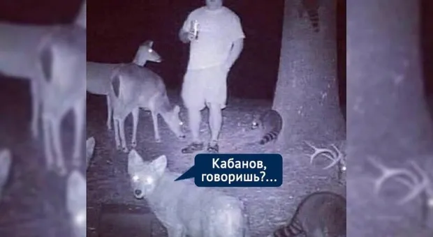 Сбежавший с самоизоляции в лес крымский вице-премьер посыпал голову пеплом Сбежавший с самоизоляции в лес крымский вице-премьер посыпал голову пеплом