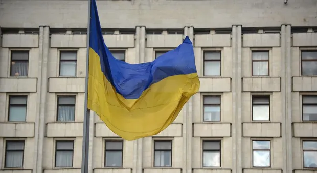 Украину назвали «международным онлайн-магазином с младенцами»