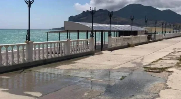 Новости Крыма - Легендарный телеведущий Дроздов выступил за создание в Крыму Ойбурского парка