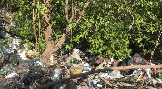 Килен-балку в Севастополе превращают в мусорную свалку