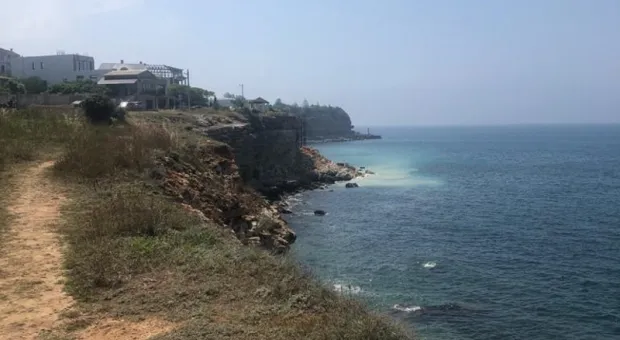 Новости Севастополя - У берегов Крыма замечен редкий дельфин