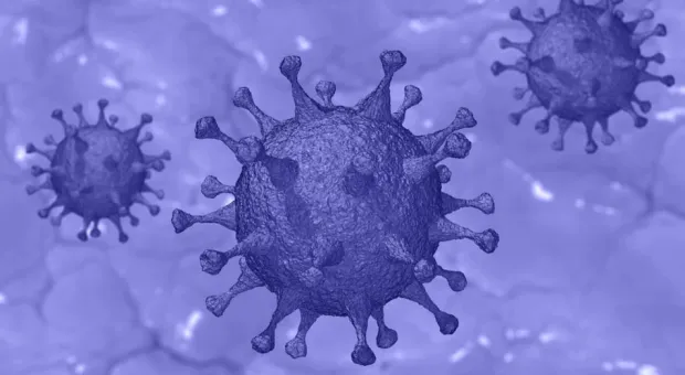 Севастополь стал лидером по коэффициенту распространения коронавируса