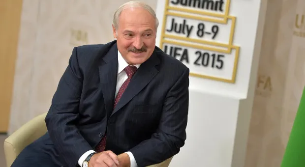 Лукашенко лидирует на выборах президента Белоруссии