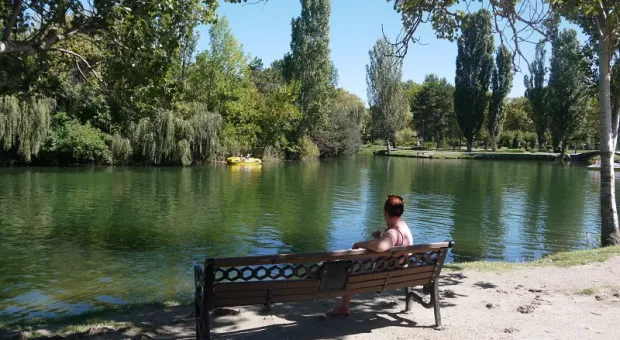 В столице Крыма хотят вернуть «английский» парк на затопленных болотах