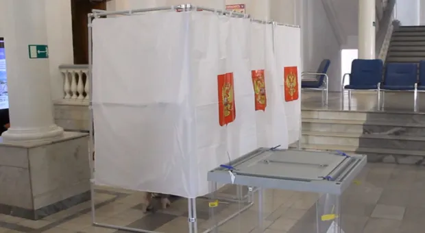 В Севастополе явка на выборах превысила 44%