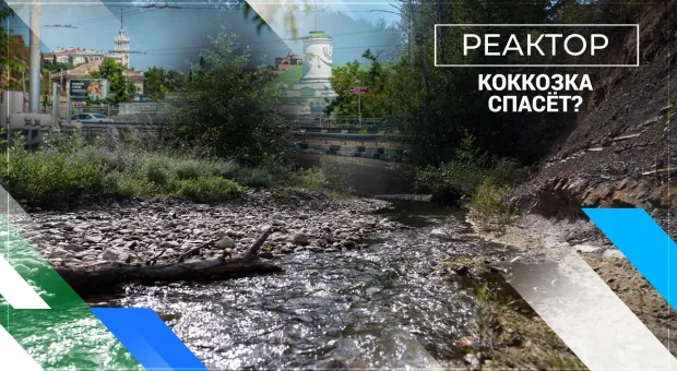 Где Севастополю брать воду и поможет ли Крым? | ForPost «Реактор» 