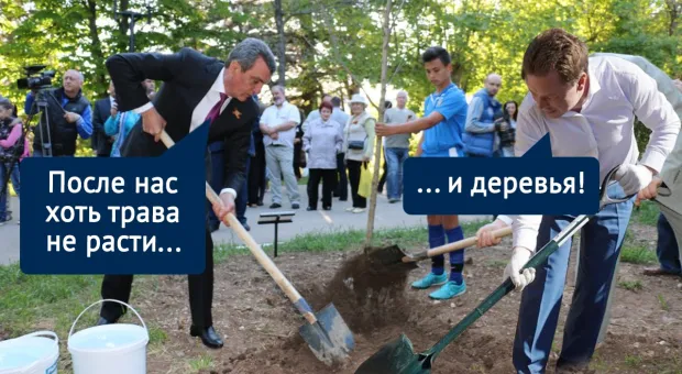 Стоп, снято: что стало с деревьями, посаженными звёздами и губернаторами Севастополя 