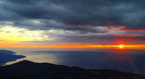 Новости Крыма - Затянулась бурой тиной и никому не нужна питьевая вода в пруду столицы Крыма 