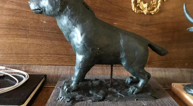 Новости Крыма - В Крыму благоустроенный сквер превращают в пустырь