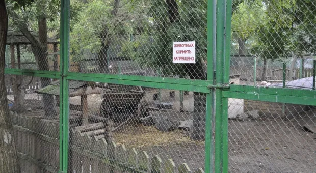 Зооуголок в Крыму превратился в скотный двор