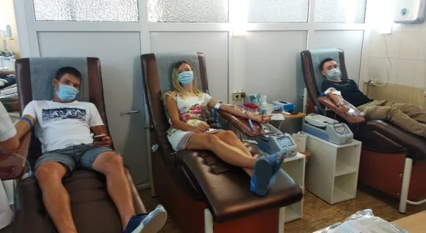 Новости Крыма - На Южном берегу Крыма 200-летний парк утюжат бульдозерами