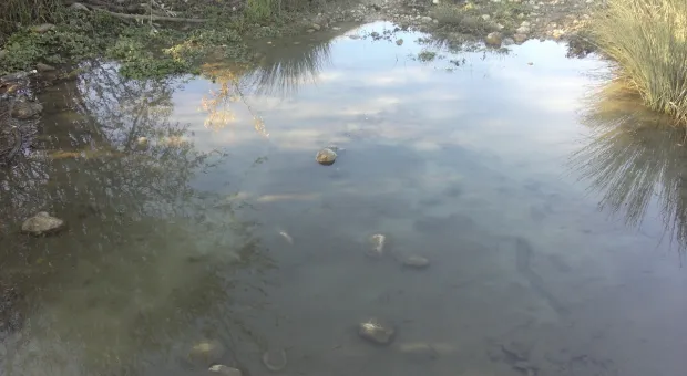 В Севастополе заметили «мутную жижу» в Чернореченском водохранилище