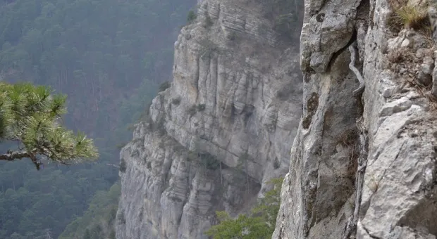 Новости Крыма - В столице Крыма повторно ограбили магазин в подземном переходе