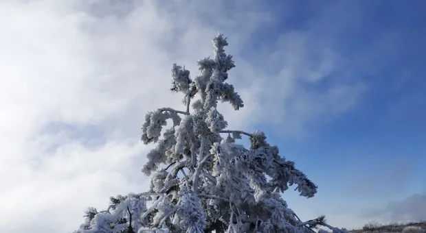 Новости Крыма - В крымской столице потекли «молочные реки»