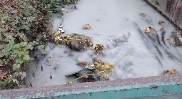 Новости Крыма - Мексиканские страсти разыгрались в столице Крыма