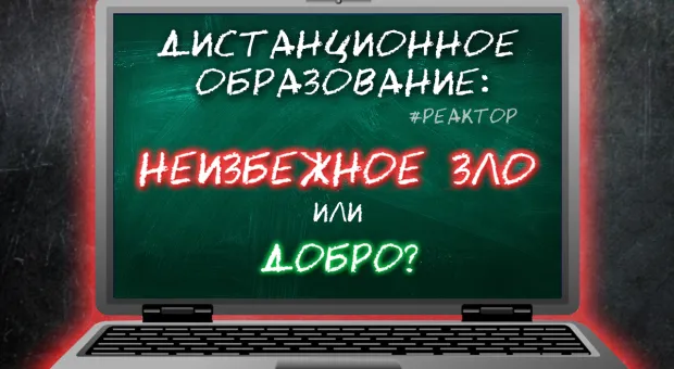 Как ужиться Севастополю с дистанционным образованием? — ForPost «Реактор» 