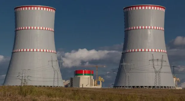 Литва запасается гречкой на случай аварии на БелАЭС