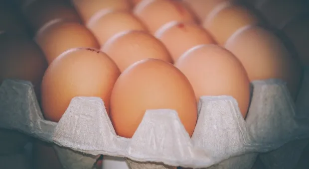 В Крыму «золотые» яйца скоро станут «платиновыми»