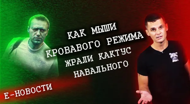 Е-новости: как мыши кровавого режима жрали кактус Навального