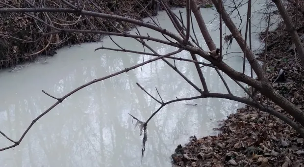 Через столицу Крыма снова течет «молочная» река