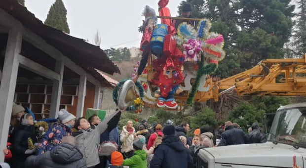 Жителей и гостей Крыма удивит гигантская секвойя