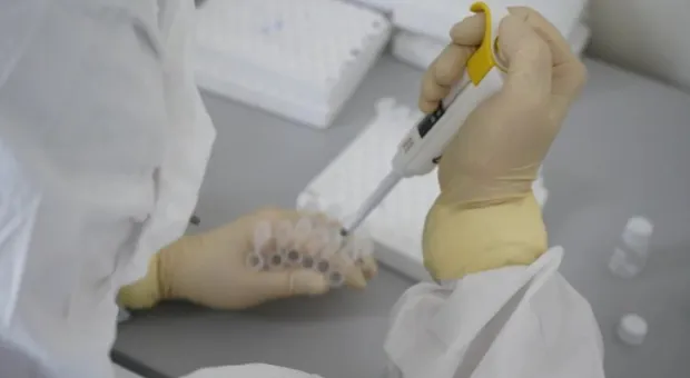 Новости Севастополя - Ещё 92 человека: в Севастополе разгулялся коронавирус