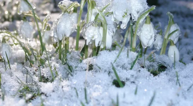В Крыму зима еще напомнит о себе морозами и снегом