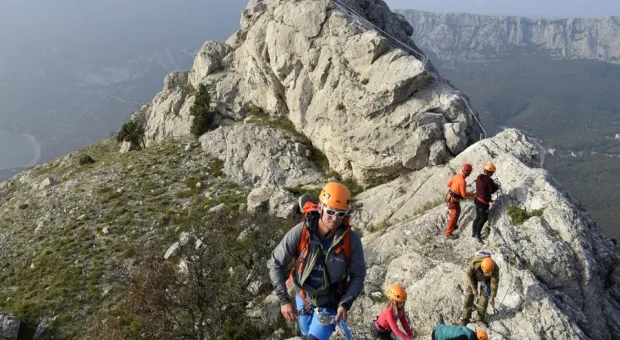 Новости Севастополя - Варварскую вырубку можжевельника в севастопольском селе Родное оценил суд