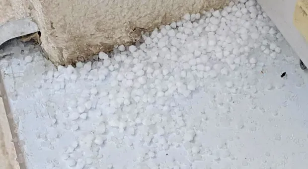 Новости Севастополя - 