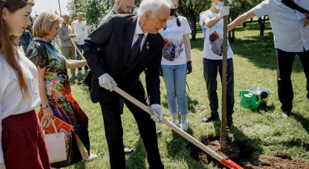 Новости Севастополя - В Севастополе будет приют для бездомных 