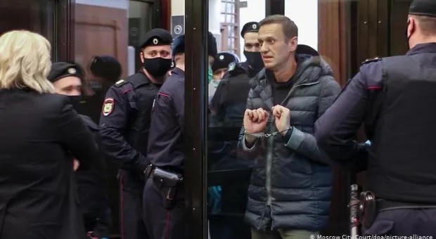 Карнавальный срок Алексея Навального 