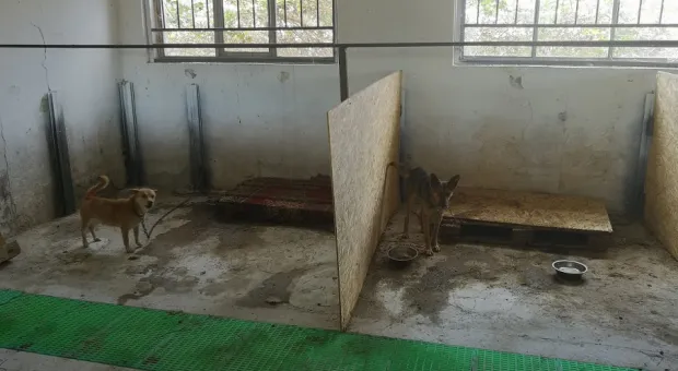 Новости Севастополя - 