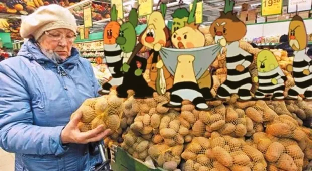 Россиян решили накормить картофелем для скота 