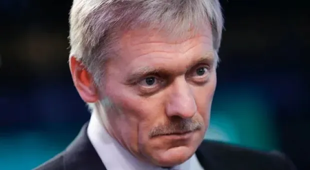 Песков прокомментировал решение соратников Навального приостановить митинги