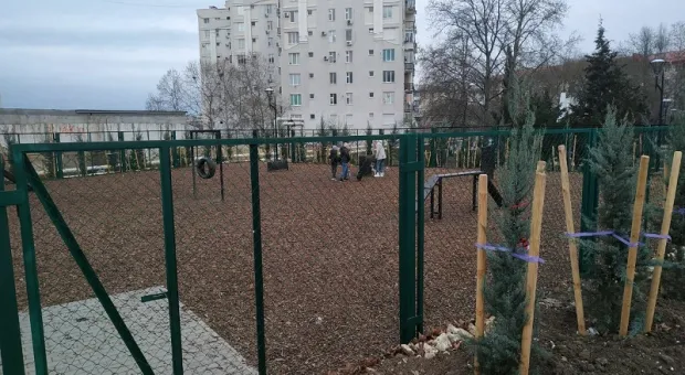 Площадка для выгула собак в сквере Севастопольских курсантов пользуется популярностью