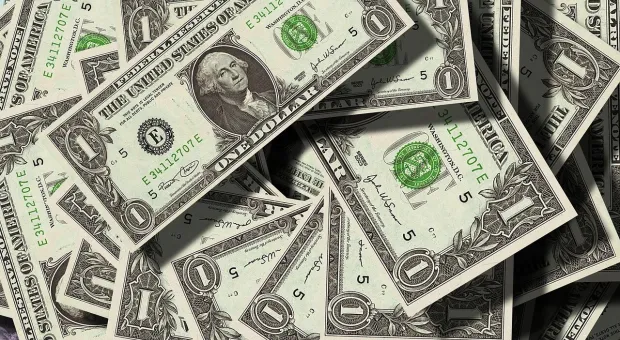 МИД заявил, что Россия должна побороть зависимости от «ядовитого» доллара 