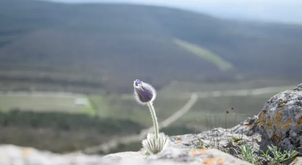 Новости Севастополя - Развожаев собирается сделать из Севастополя город будущего