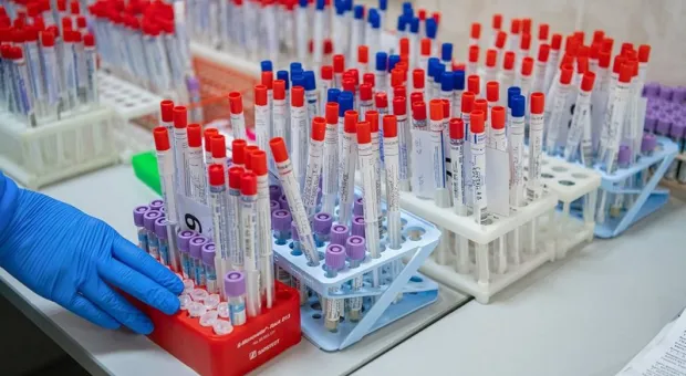 Иммунолог опроверг миф об антителах после вакцинации от ковида