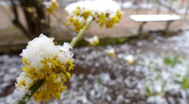 Новости Севастополя - 