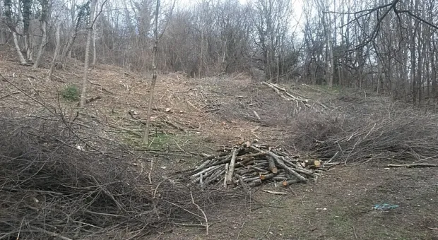 В горах Крыма снова рубят лес под частную застройку