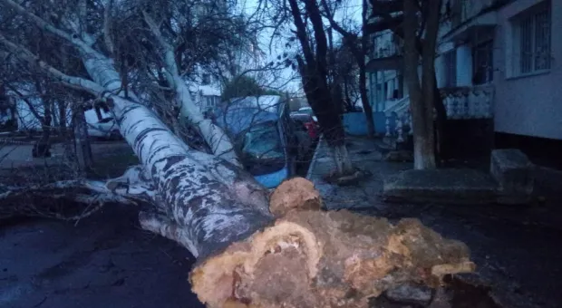 Новости Севастополя - 