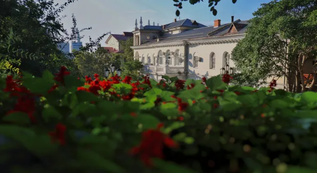 Севастопольские школы и больницы озеленят почти на 7 миллионов