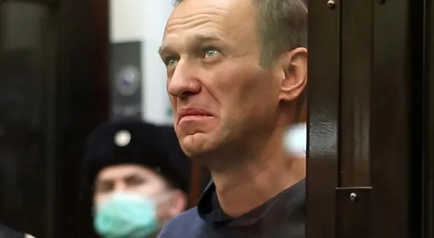 Навальному всё-таки дали премию кинокритиков «Белый слон»