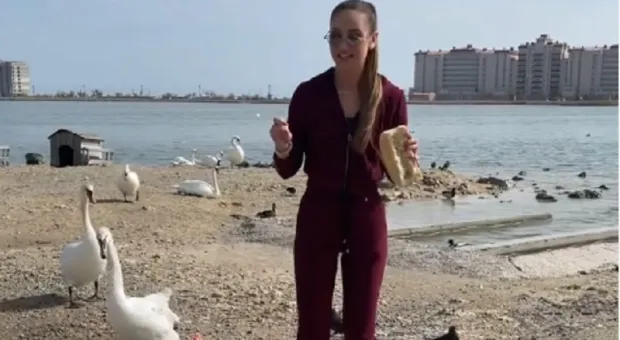 Бузова покормила лебедей в Крыму запретной едой