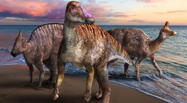 В Японии нашли новый вид динозавров