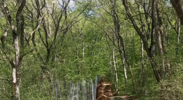 В Крыму участок леса у водохранилища обнесли забором