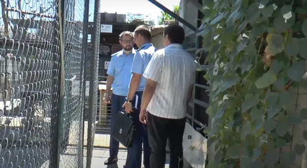 Прокуратура через суд закрывает севастопольский зоопарк