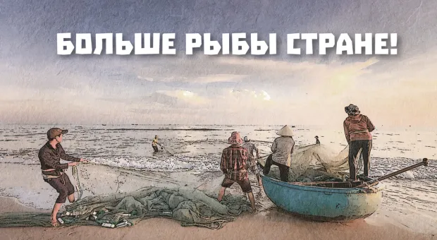 Севастополю пора забыть праздник – День рыбака? ForPost «Реактор»